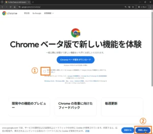 Google Chrome ベータ版の公式ダウンロードページ。使用統計情報と障害レポートをGoogleに自動送信する設定のチェックボックスが表示され、画面下部にはCookie利用に関する案内と「同意する」「同意しない」ボタンが表示されている。