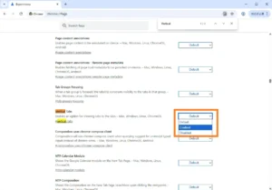Google Chrome Canary 版の chrome://flags 画面で「Vertical Tabs」フラグが表示され、設定項目を「Enabled」に変更できる状態を示している画面。縦タブ機能が有効化可能であることを確認している。